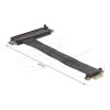 Delock - Riser Card