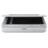 Epson WorkForce DS-50000 - Flachbettscanner - A3 - 600 dpi x 600 dpi - bis zu 4 Seiten / Min. (einfarbig) / bis zu 4 Seiten / Min. (Farbe) - USB 2.0