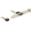 Delock - Serielles Bedienfeld - DB-9 (M) zu 9-polig IDC (W) - 25 cm
