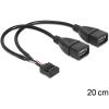 Delock - USB-Kabel intern auf extern - USB (W) zu 9-poliger USB-Header (W) - 20 cm