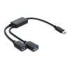 Delock  2 Port USB 5 Gbps Typ-A Kabel-Hub mit USB-C Anschluss 25 cm
