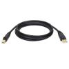 Eaton Tripp Lite Series USB 2.0 A to B Cable (M / M) - 10 ft. (3.05 m) - USB-Kabel - USB (M) zu USB Typ B (M) - USB 2.0 - 3 m - geformt - Schwarz
