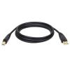 Eaton Tripp Lite Series USB 2.0 A to B Cable (M / M), 10 ft. (3.05 m) - USB-Kabel - USB (M) zu USB Typ B (M) - USB 2.0 - 3 m