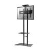 PLASMA-M1700ES / Mobile Flatscreen Floor Stand (height: 155-170 cm) / 32-55" / schwarz