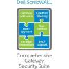 SonicWall Gateway Anti-Malware, Intrusion Prevention and Application Control for TZ 500 - Abonnement-Lizenz (1 Jahr) - 1 Gerät - für SonicWall TZ500, TZ500 High Availability, TZ500W