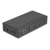 Delock - Hub - mit 15 kV ESD-Schutz - 4 x USB 2.0 - an DIN-Schiene montierbar, wandmontierbar