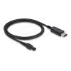 Delock - Stromkabel - USB (M) zu 2-polig (M) - 15 V - 36 mA - 1 m - Schwarz