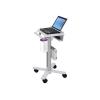 Ergotron - Wagen - leichtes Design - für Notebook / Barcode-Scanner - medizinisch - Stahl - weiß, Aluminium - Bildschirmgröße: bis zu 43,2 cm (bis zu 17")