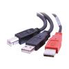 Kabel / 2 m USB 2,0 2 AM / MINI-B M Y-CBL Black