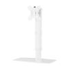 NewStar Flatscreen Desk Mount (stand) / 10"-30" / white