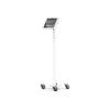 Compulocks iPad Pro M4 13" (2024), Apex Enclosure Rolling Cart - Rise Freedom - Wagen - für Tablett - mit Rollen - verriegelbar - medizinisch - weiß - Bildschirmgröße: 33.02 cm (13") - freistehend - für Apple 13-inch iPad Pro (M4)
