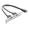 Delock - USB-Kabel - 20-poliger USB Typ E (M) Taste A zu USB (W) - USB 2.0 - 35.5 cm - Schwarz