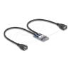 Delock - USB-Adapter - PCIe Mini Card - USB 2.0 x 2