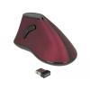 MAUS ergonomisch vertikal optisch 5-Tasten 2,4 GHz wireless USB-A Delock