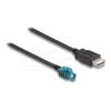 Delock - Datenkabel - HSD Z weiblich zu USB weiblich - 1 m - RAL 5021