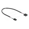 Delock - Internes USB-Kabel - 4-Pin-USB 2.0-Header (W) zu 10-poliger USB-Header (W) - 30 cm - 2,54 mm Stiftabstand - Schwarz