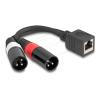 Delock - Audio-Adapter - XLR3 männlich zu RJ-45 weiblich - 20 cm - Schwarz