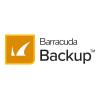 Barracuda Backup Replication to a Virtual Receiver - Abonnement-Lizenz (1 Monat) - für P / N: BBS1090A
