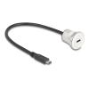 Delock - USB-Verlängerungskabel - 24 pin USB-C (M) zu 24 pin USB-C (W) Paneel montierbar - 30 cm - M22 Gewinde - Schwarz, Silber
