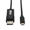 Tripp Lite USB C to DisplayPort Adapter Cable USB 3.1 Locking 4K USB-C 6ft - DisplayPort-Kabel - 24 pin USB-C (M) umkehrbar zu DisplayPort (M) Verriegelung - USB 3.1 Gen 1 / Thunderbolt 3 / DisplayPort 1.2 - 1.8 m - 4K Unterstützung, USB-Strom - Schw