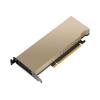 NVIDIA L4 - GPU-Rechenprozessor - L4 - 24 GB GDDR6 - PCIe 4.0 x16 Low-Profile - ohne Lüfter