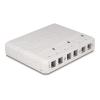 Delock - Gehäuse mit modularen Einsätzen - Keystone-Oberfläche montierte Box - weiß - 6 Ports
