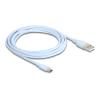 Delock - USB-Kabel - USB (M) zu USB-C (M) - USB 2.0 - 3 A - 2.5 m - Blau