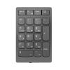 Lenovo Go Wireless Numeric Keypad - Tastenfeld - kabellos - 2.4 GHz - Tastenschalter: Scissor-Key - Storm Gray - retail