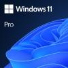 Windows 11 Pro - Lizenz - 1 Lizenz - OEM - DVD - 64-bit - Holländisch