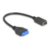 Delock - Internes USB-Kabel - 19-polige USB-Stiftleiste (W) zu 20 pin Key A (W) - 25 cm - up to 5 Gbps data transfer rate