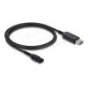 Delock - Stromkabel - USB (M) zu 2-polig (M) - 4.3 V - 70 mA - 1 m - Schwarz