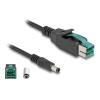 Delock - Powered USB-Kabel - USB PlusPower (12 V) (M) zu Gleichstromstecker 5,5 x 2,5 mm (M) - 12 V - 3 m - Schwarz