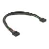 Delock - USB-Kabel - 10-poliger USB-Header (W) zu 10-poliger USB-Header (W) - USB 2.0 - 25 cm - 2,54 mm Stiftabstand - Schwarz