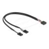 Delock - Internes USB-Kabel - 4-Pin-USB 2.0-Header (W) zu 10-poliger USB-Header (M) - 30 cm - Schwarz