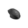 HP 285 Silent - Maus - ergonomisch - optisch - kabellos - 2.4 GHz - kabelloser Empfänger (USB)