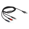 Delock - Lightning-Kabel, nur zum Aufladen - USB männlich zu Micro-USB Typ B, Lightning, USB-C männlich - 1 m - Schwarz