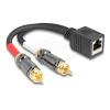 Adapterkabel RJ45 Buchse zu 2 x XLR 3 Pin, Netzwerk