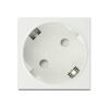 Delock - Easy 45 - Steckdose - 2P - Typ F - mit Verschluss - 1 Steckdose - 16 A - Wechselstrom 250 V - weiß, RAL 9003