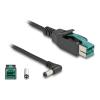 Delock - Powered USB-Kabel - USB PlusPower (12 V) (M) zu Gleichstromstecker 5,5 x 2,1 mm (M) gewinkelt - 12 V - 1 m - Schwarz