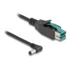 Delock - Powered USB-Kabel - USB PlusPower (12 V) (M) zu Gleichstromstecker 5,5 x 2,1 mm (M) gewinkelt - 12 V - 3 m - Schwarz