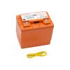 97-618 / SV Life Replacement Battery